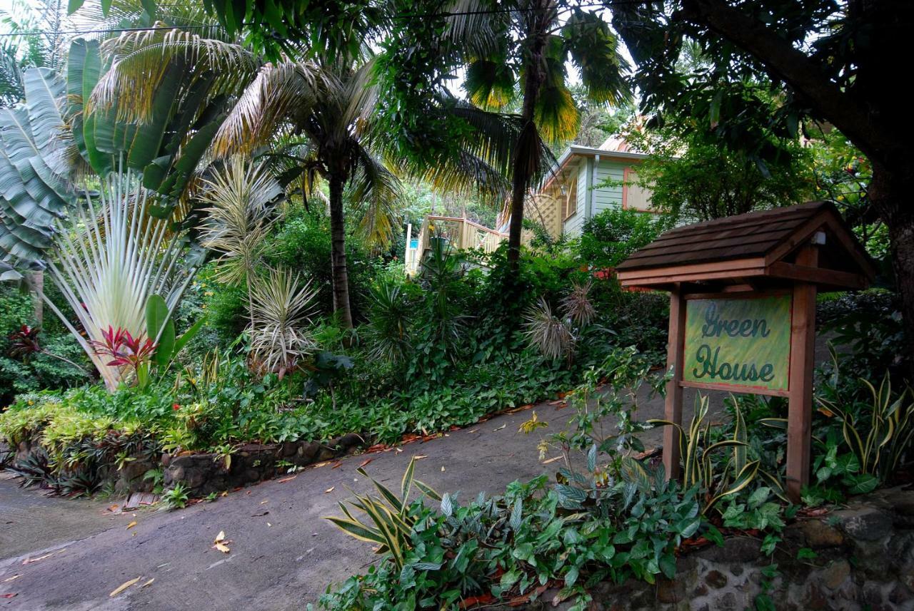 Green House ديساي المظهر الخارجي الصورة